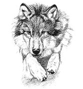  Pas de Loup