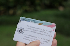 5 façons d'obtenir la green card (+ un plan B)