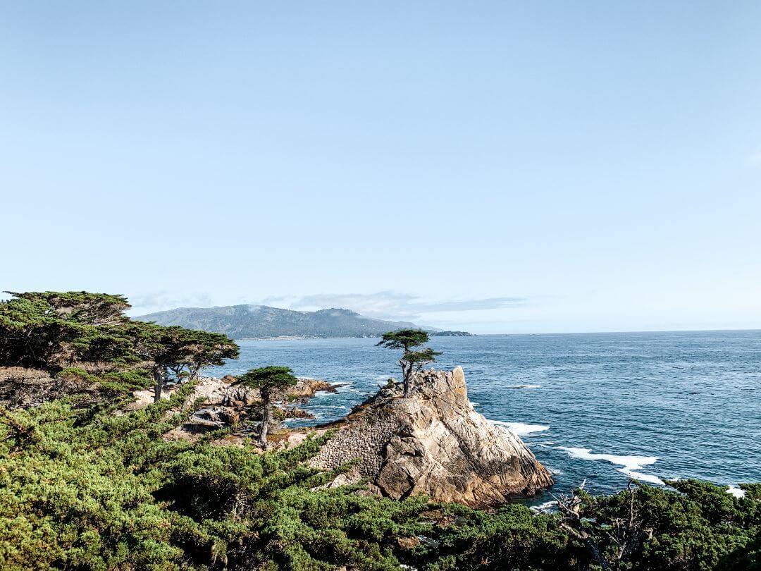 Cypress Tree à Carmel-by-Sea - Un road trip en Californie et dans l'Ouest américain